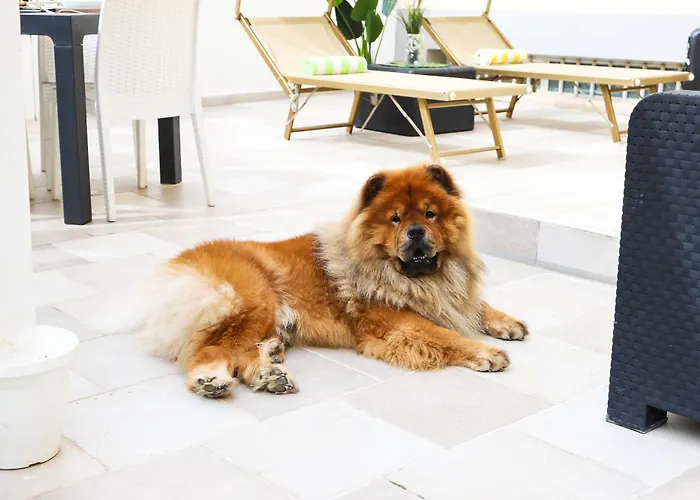 Apartament La Dimora Di Rebecca